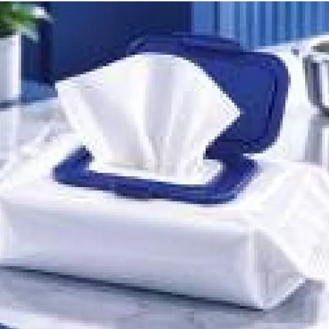 Hand & Skin Cleansing Wipes